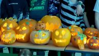 Am Freitag vor den Herbstferien fand an unserer Schule wieder ein spannender Projekttag statt. Jede Klassenlehrerin der Jahrgangsstufen 1 bis 6 hatte mit ihren Schülern ein eigenes Thema vorbereitet. So […]